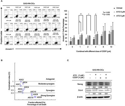 Combinatorial Low Dose Arsenic Trioxide and Cisplatin Exacerbates Autophagy via AMPK/STAT3 Signaling on Targeting Head and Neck Cancer Initiating Cells